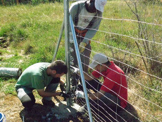 La empresa de inserción Savia Nueva cumple 5 años de actividad