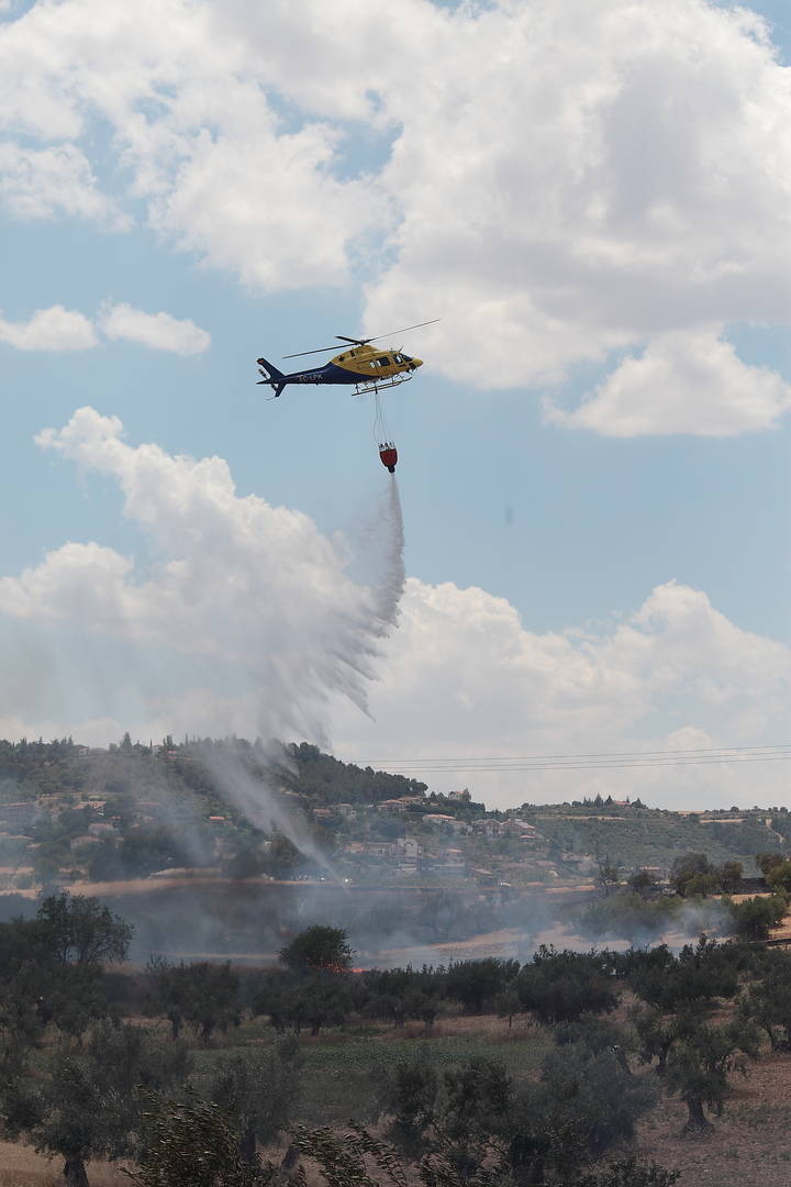 Foto : www.eduardobonillaruiz.com