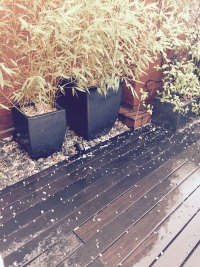 Calor y bochorno por la mañana y tormentas y chubascos por la tarde este martes en Guadalajara