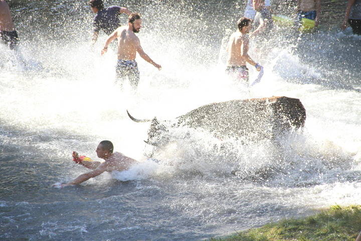 14.000 aficionados llenan Trillo en la vigésima edición de las Vacas por el Tajo