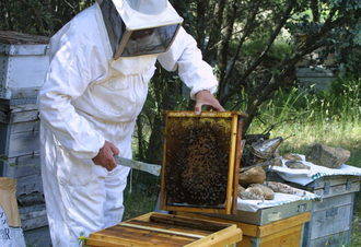 Mohernando acogerá el II Encuentro Nacional de Apicultores 2015