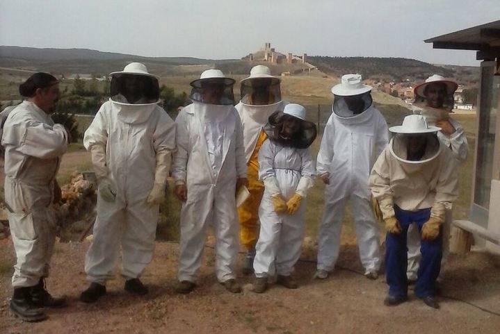Diez personas se inician en el mundo de la apicultura en Molina de Aragón