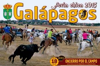 La Peña Taurina El Encierro de Galápagos da el pistoletazo de salida a la temporada de encierros por el campo el próximo 18 de julio