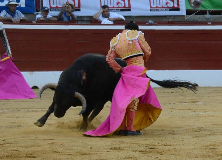 El afincado en Tórtola de Henares, Iván Fandiño soberbio en Mont de Marsan