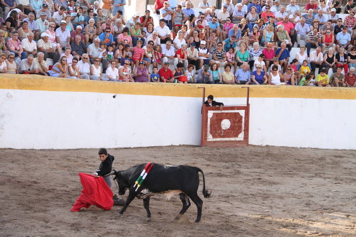 Ricardo de Santiago, vence en la última semifinal del II Certamen de Tauromaquia de Pastrana