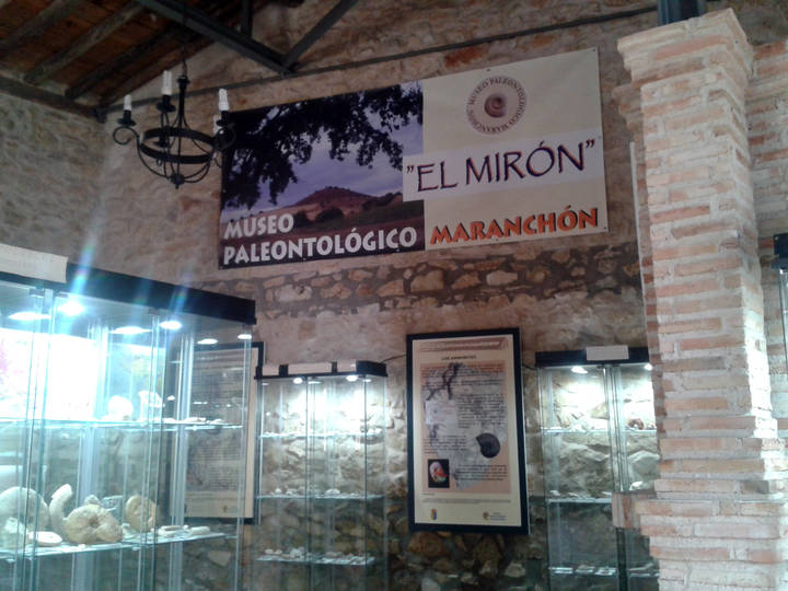 Maranchón inaugura este domingo su Museo Paleontológico El Mirón