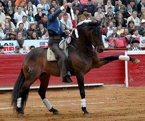 Muere a los 30 años, de un ictus, el famoso Cagancho