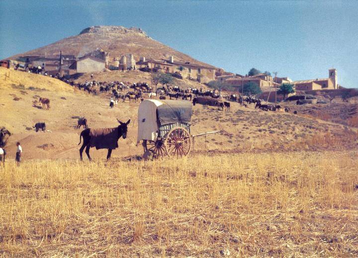 El jueves se inaugura la exposición de Ferias de Diputación