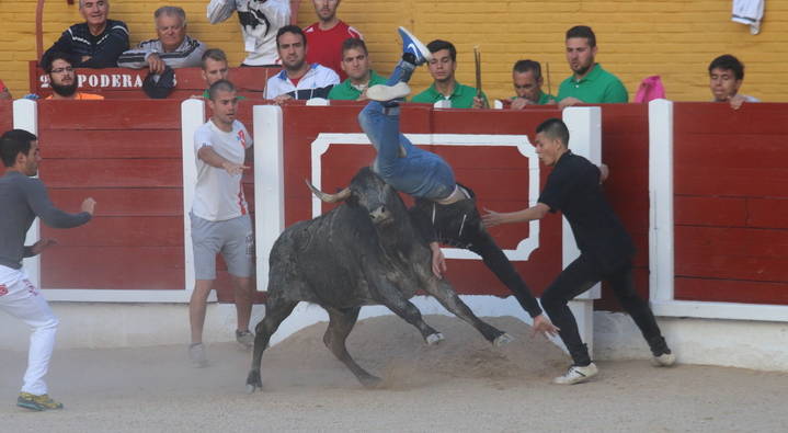Foto : www.eduardobonillaruiz.com