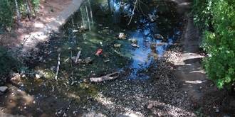 “Lamentable y vergonzoso”, apelativos usados por el PP azudense para hablar del Parque de la Quebradilla