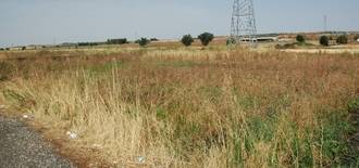 Hormaechea: El tanatorio de Azuqueca supone un nuevo engaño de Blanco y Bellido que no cumplirá los plazos anunciados