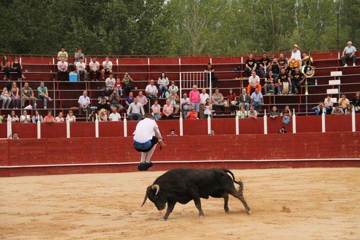 El valenciano Antonio Ojeda, campeón del Concurso de Recortes de Trillo