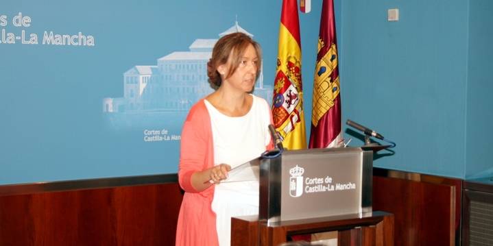 Guarinos denuncia que la única responsabilidad de que el futuro de Elcogas no esté comprometido la tendrá Page