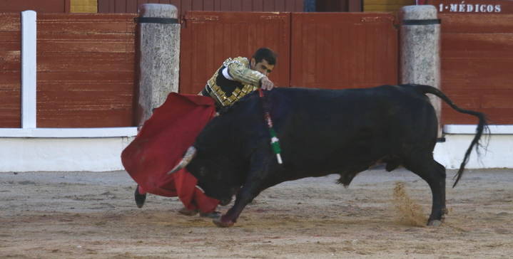 Foto : www.eduardobonillaruiz.com