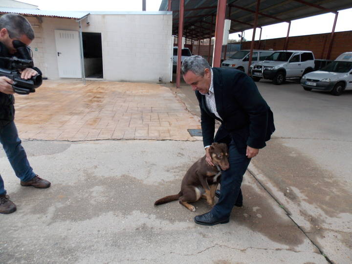 ‘Hogar amigo’, el núcleo zoológico de la Mancomunidad Vega del Henares