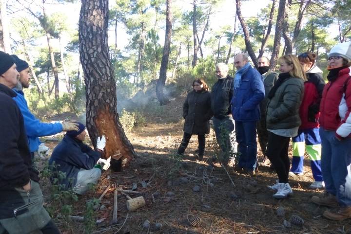 Latre reafirma el compromiso de la Diputación con la actividad resinera como fuente de generación de empleo