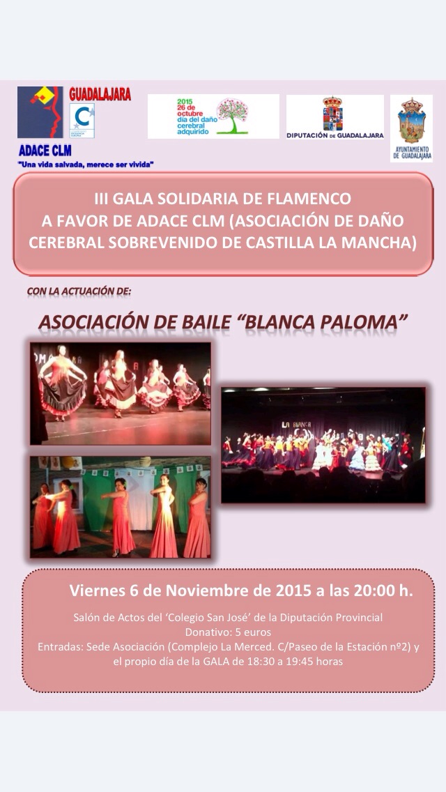 ADACE celebra en el San José su III Gala Solidaria de Falmenco