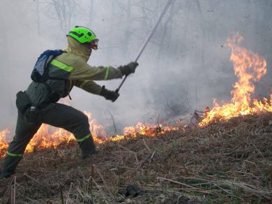 De los 781 incendios forestales en lo que va de año en Castilla La Mancha, 271 han sido por negligencia