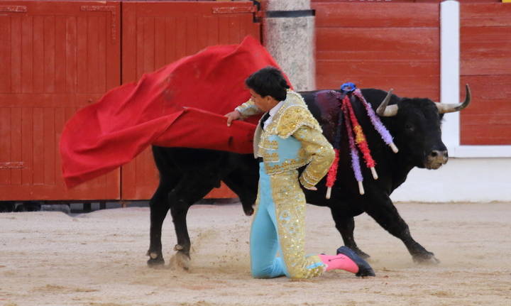 Foto : www.eduardobonillaruiz.com
