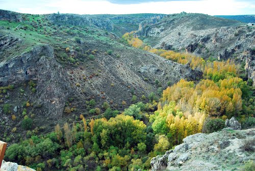 Responsabilizan a Page de la tala indiscriminada de cientos de árboles en el Parque Natural del Río Dulce