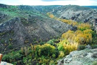 Responsabilizan a Page de la tala indiscriminada de cientos de árboles en el Parque Natural del Río Dulce