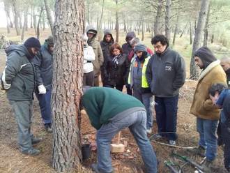 La Diputación pone en marcha nuevos cursos de resinación para seguir generando empleo en el medio rural