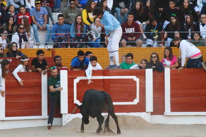 Foto : www.eduardobonillaruiz.com