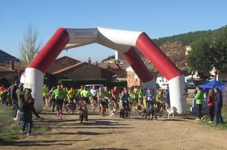 Javier Ruiz con Flash se impuso en la primera prueba VII Circuito de Canicross Diputación de Guadalajara celebrado en Chiloches
