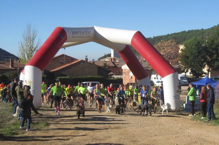 Javier Ruiz con Flash se impuso en la primera prueba VII Circuito de Canicross Diputación de Guadalajara celebrado en Chiloches