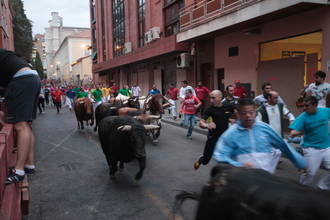 Tercer encierro de las Ferias de Guadalajara, rápido y sin heridos