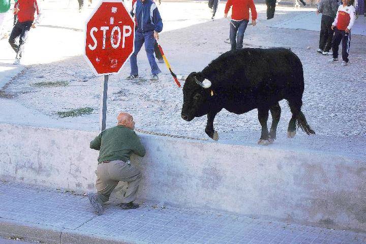 Este sábado se entregan en Trillo los premios del X concurso fotográfico de Toroalcarria.com