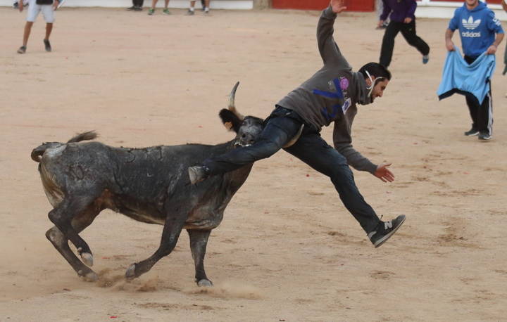 Gran afluencia de público y bonitas carreras en el último encierro-sin heridos-de las Ferias y Fiestas de Guadalajara 2015