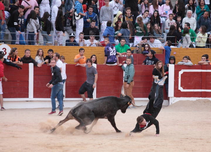Foto : www.eduardobonillaruiz.com