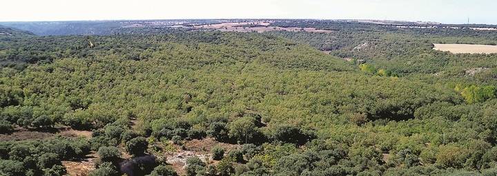 Valdenazar desentrañará este sábado sus secretos en una jornada de educación medioambiental