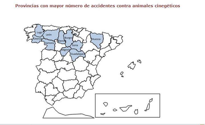 Guadalajara, líder nacional en accidentes de tráfico por culpa de animales