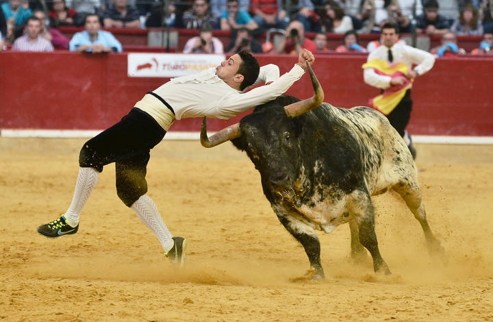 Guadalajara vs España, en el Concurso de Recortes del Coso de Las Cruces