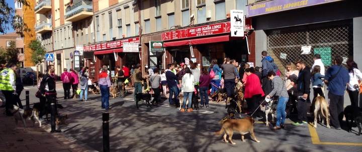 El Paseo Comercial Miguel Fluiters organizó la primera Quedada Canina