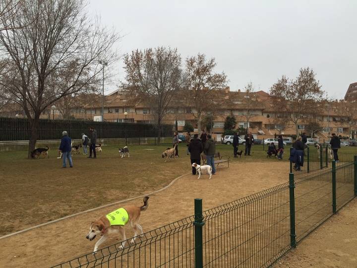 La Concejalía de Medio Ambiente presenta los nuevos puntos de ocio, esparcimiento y socialización para perros
