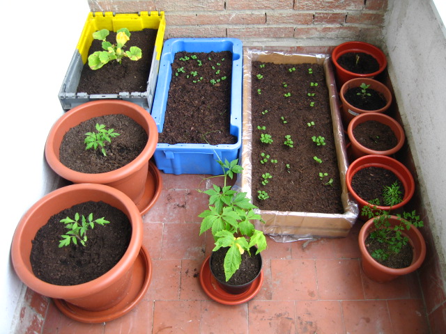 Yebes organiza una jornada de huertos domésticos para los vecinos aficionados a la horticultura 
