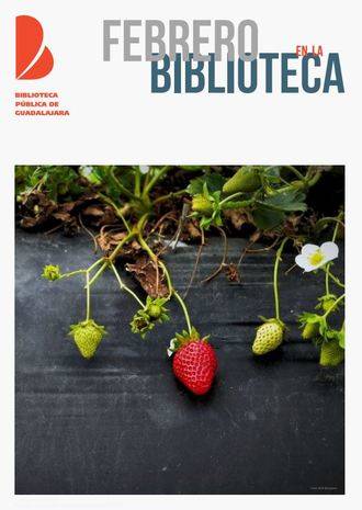 Todo esto propone la Biblioteca de Dávalos para el mes de febrero