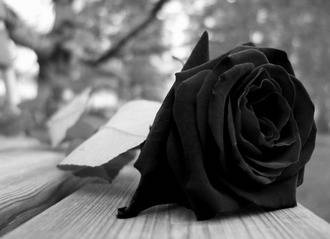 Tres días oficiales de luto en Galápagos por el caso de violencia machista