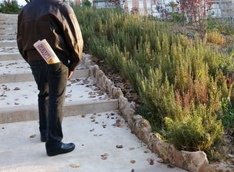 Cielos nubosos y -3ºC este domingo en Guadalajara que está en alerta amarilla por temperaturas mínimas