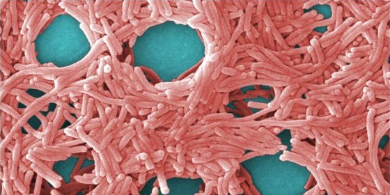 Cañizares denuncia que el PSOE está tratando de engañar sobre el brote de legionelosis a través de la Televisión de Castilla-La Mancha