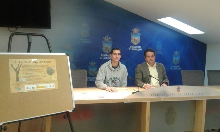 Bejanque volverá a tener su olma, esta vez libre de grafiosis