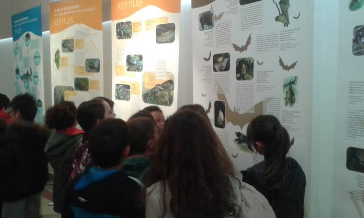 Los centros educativos de Alovera participan en las conferencias didácticas sobre fauna y medio ambiente de La Campiña