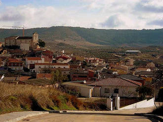 El Consistorio de Tórtola niega rotundamente que haya dado autorización para matar perros vagabundos