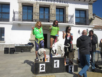 Gran papel del Club Canicross Guadalajara en la penúltima carrera de su liga