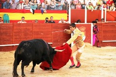 Curro de la Casa entrando a matar en Trillo