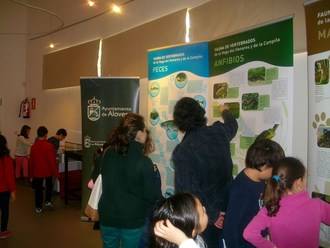 La sala de exposiciones de Alovera acoge la exposición de fauna del río Henares y La Campiña