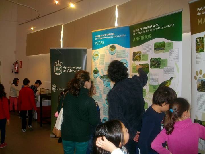 La sala de exposiciones de Alovera acoge la exposición de fauna del río Henares y La Campiña 